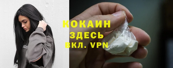 прущий лед Алзамай