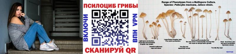 Галлюциногенные грибы Cubensis  kraken tor  Смоленск 
