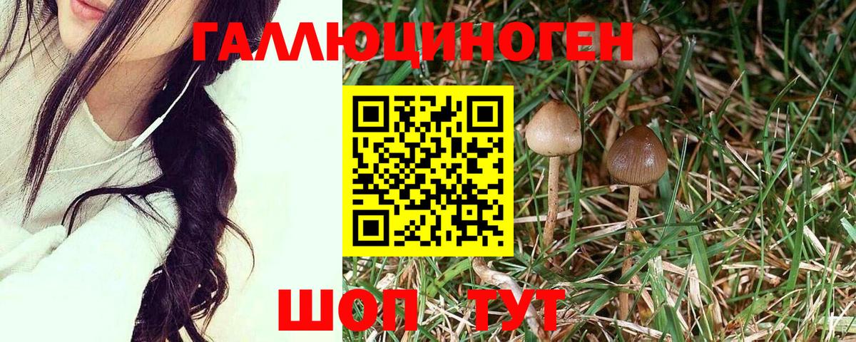 Галлюциногенные грибы прущие грибы Смоленск